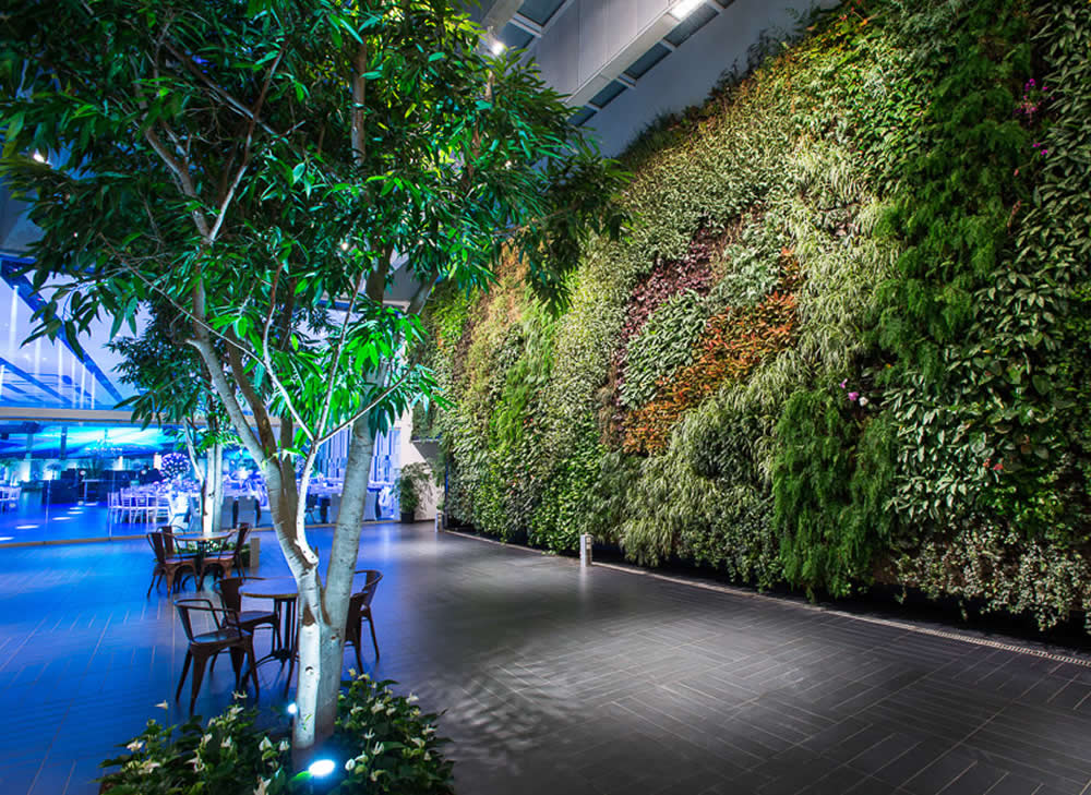 Living Wall